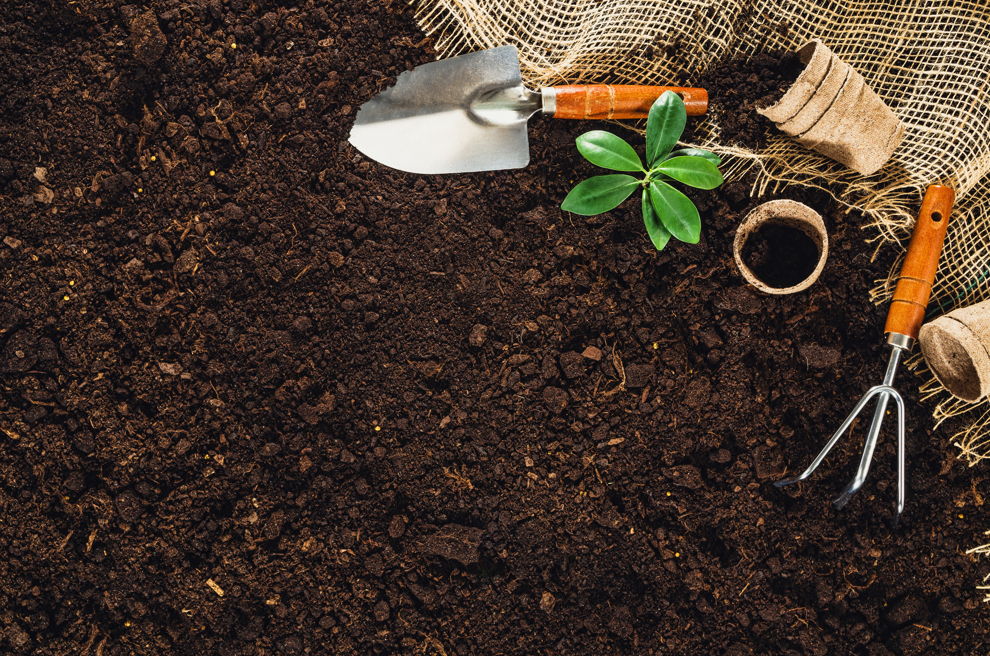 Gardening tools on garden soil texture background top view